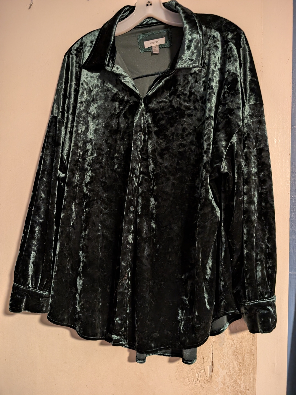Cupio Crushed Velvet Button-Down Shirt in Forest Green Sheen